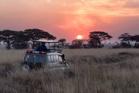 Familia Torres de safari al atardecer en Kenia